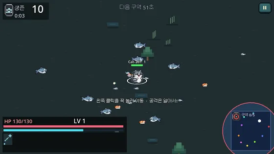 경기 시작 3초, 연어 떼와 초밥 사이에 선 코숏 고양이